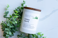 Load image into Gallery viewer, Citrus Agave